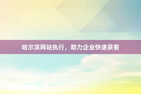 哈尔滨网站执行，助力企业快速获客